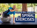 Exercise Ball Exercises: Rotation Workouts for Spinal Health