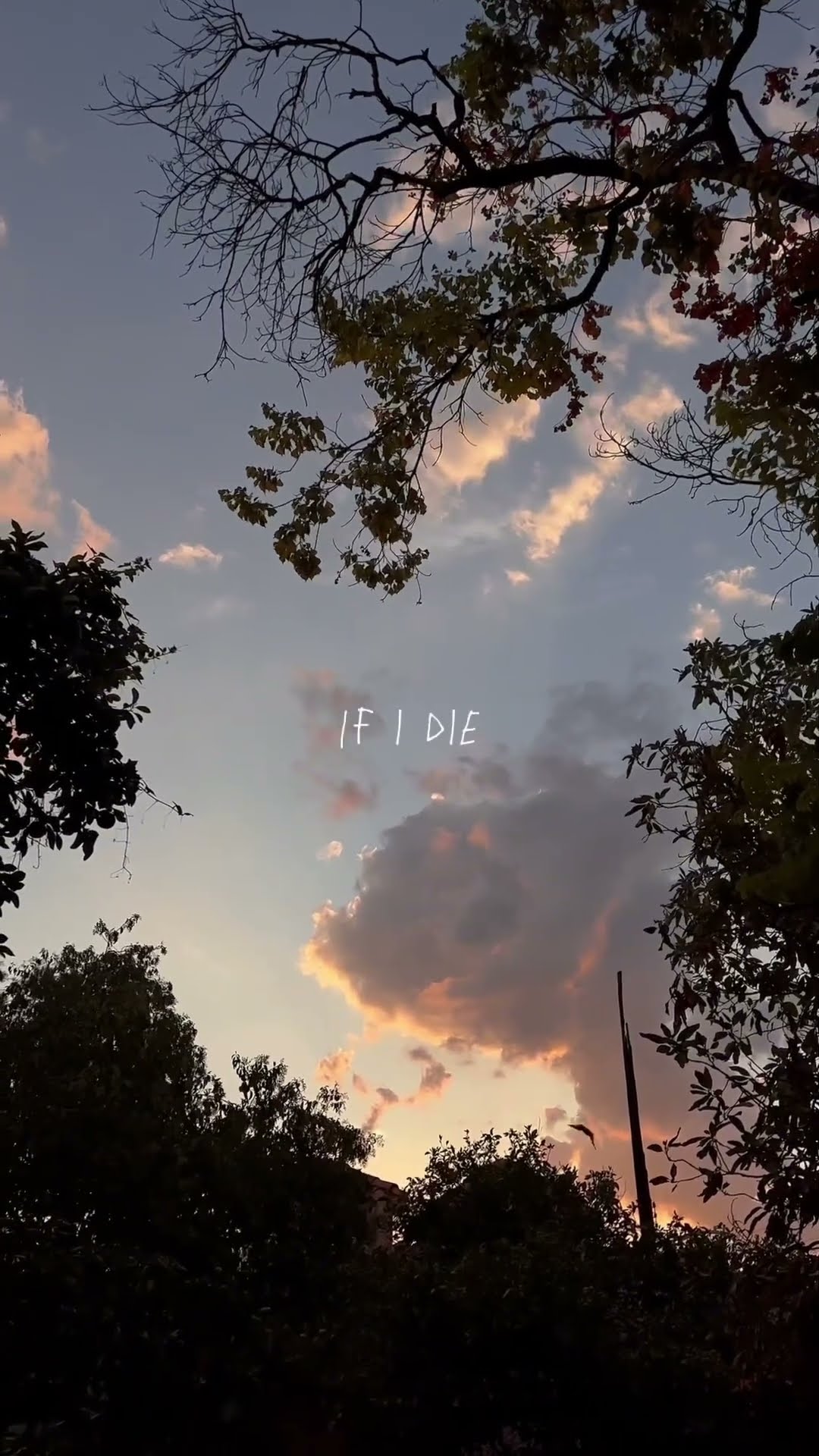 Your fav heartbreak song ? #sadsong #indiepopmusic #popmusic #lyricsedit #indieartist