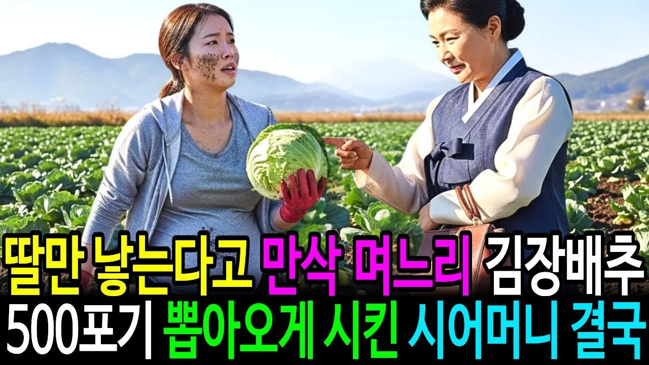 딸만 낳는다고 만삭 며느리 김장배추 500포기 뽑아오게 시킨 시어머니 결국 사돈이 박살냈습니다
