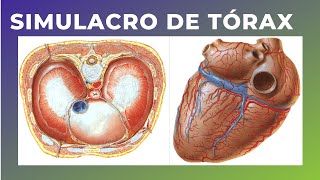 SIMULACRO DE TÓRAX (AUTOEVALUACIÓN)