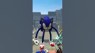 Cauldron Test Smiley Super Sonic Tails and Real Sonic in Garry