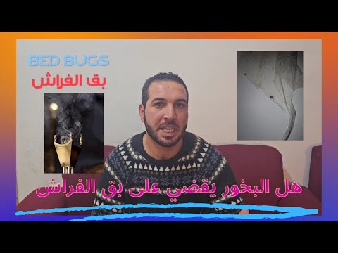 القضاء على بق الفراش بواسطة البخور حقيقة او خيال