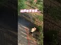 女拿高壓水槍清洗社區地板 停車格慢慢顯現超療癒 Shorts Funny Videos 女拿高壓水槍清洗社區地板 停車格慢慢顯現超療癒 Shorts Funny Videos