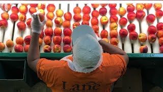 2018 Georgia Tech Summer Tour Day One