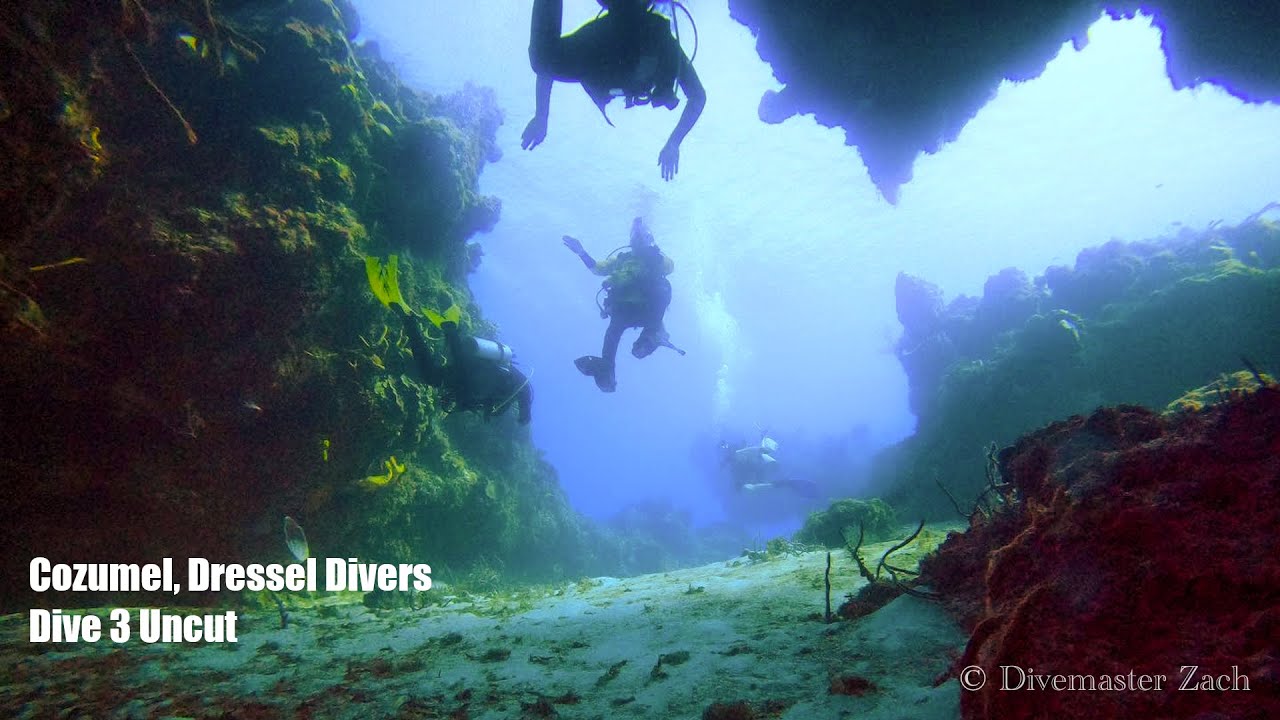 Cozumel December 2022 Dive 3 Uncut Dressel Divers YouTube