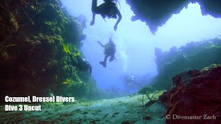 Cozumel December 2022 Dive 3 Uncut | Dressel Divers