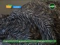 رولا اسير فى ست كوم البنسيون   2