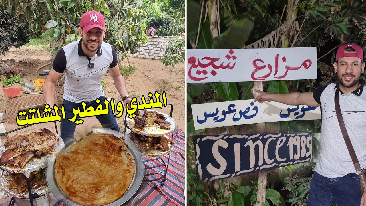يوم في مزارع شجيع 😍🇪🇬 الفطير المشلتت واللحم المندي وسط أشجار المانجو ( قعدة بدوية ) 👌
