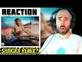 MISS HIPS DONT LIE ZARA LARSSON SHAKIRA EUROSUMMER REACTION 