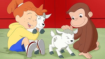 Jorge va a la granja 🐑 | Jorge El Curioso En Español