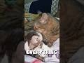 Animals may also take care of their young.😻 #short