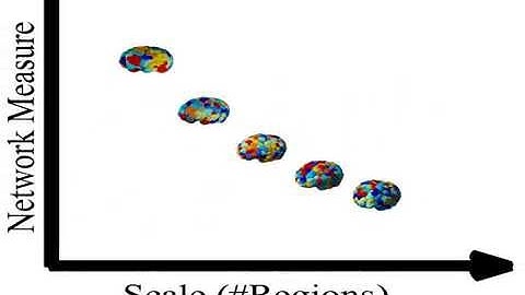 Scale issue in brain network analysis - Markus D Schirmer