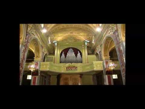 Organo Serassi 1821 di Caluso a cura di Antichi Organi del Canavese