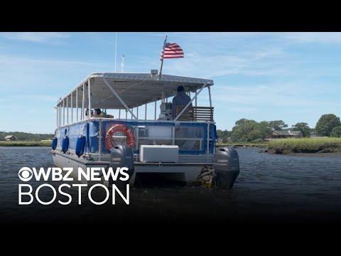 Clambakes and sightseeing in the Great Marsh offered aboard private cruises