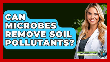 Can Microbes Remove Soil Pollutants? - Earth Science Answers