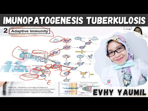 Video: Persatuan-persatuan Antara Penyakit-penyakit Yang Berkaitan Dengan Imun Dan Penyakit Tuberkulosis Yang Terpilih: Kajian-kajian Berkaitan Rekod
