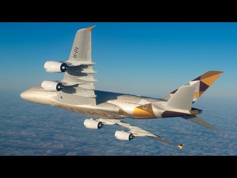 航空機・ヘリコプター ETIHAD Boeing 787 1/144 PACMIN ScaleModelStore.com :: JC Wings 1:400 - XX4979A - Etihad