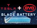 Tesla Buying BYD 'Blade Battery' For It's $25k Car? 📈