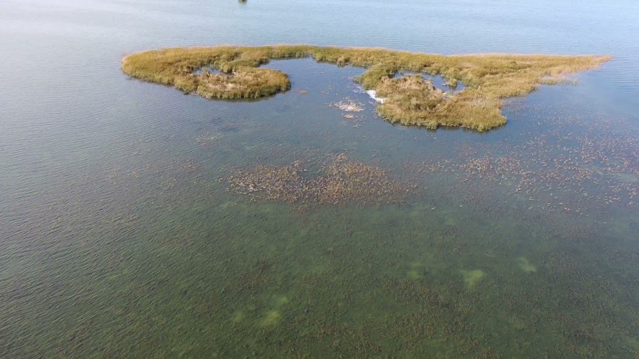Sebewaing/Saginaw Bay 10/24/2021