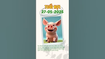 Tử Vi Tài Lộc, Sự Nghiệp, Tình Duyên, Sức Khỏe Tuổi Hợi ngày 27-05-2025 #TuViPremium