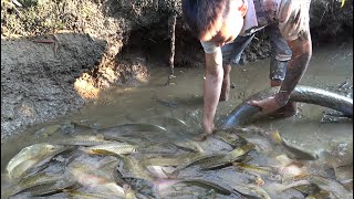 Fishing Videos: Survival Skills, Catch A Lot Of Fish, Bushcraft Survival, OFF GRID LIVING