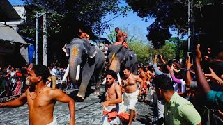 ഗുരുവായൂർ ആനയോട്ടം | Guruvayur Elephant Race 2023 | Guruvayur Anayottam | Guruvayur Utsavam