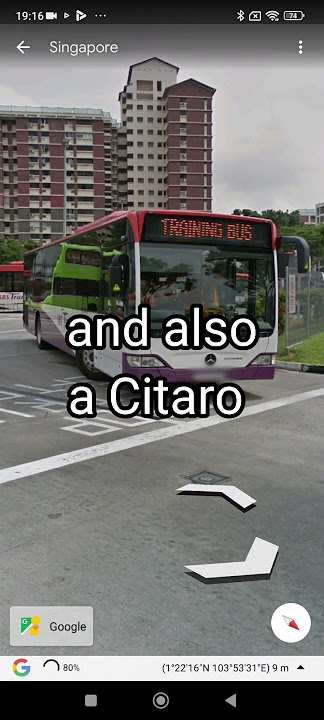 Non-Wheelchair Accessible Singapore Bus found on Google Earth! #bus