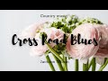 Country music - Cross Road Blues - Jackson Wilson