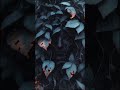 Nox Resonantia - Gaia's Quiet Ledger