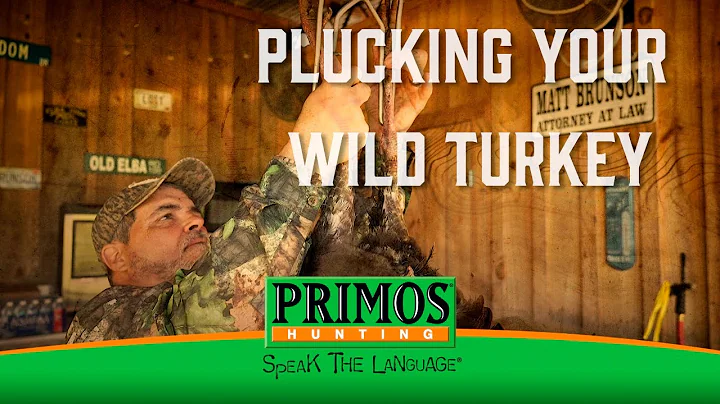 Unlock the Full Flavor: Plucking a Wild Turkey Guide