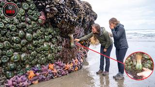 Incredible Moments You Must See To Believe | Strange Creatures (P6)