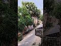 going towards nature vibe #nature #reels #travel #shorts #song
