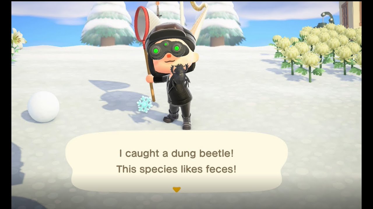 Dung beetle and how to spawn continuous Dung Beetle worth 3k bells in  Animal Crossing