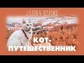 Intermediate Russian. Listen & Respond: Кот-путешественник