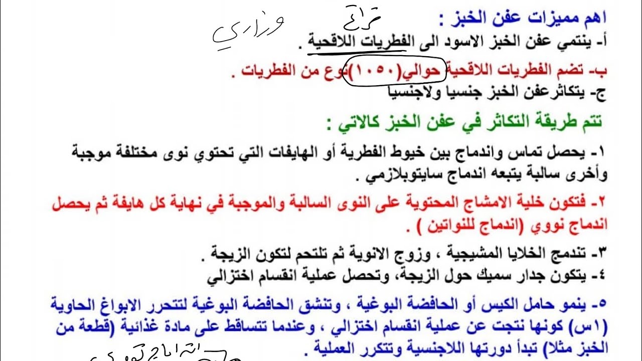 التكاثر في الفطريات/عفن الخبز/محاضرة7/ سادس علمي فصل ثالث2024