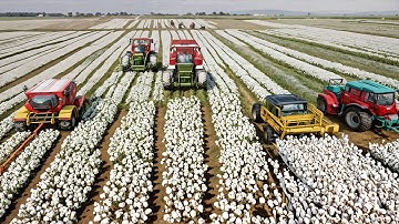 China’s Intelligent Cotton Pickers Reshape the Future of Smart Farming