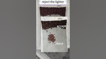 coffee color sorter machine mini colour sorting #colorsortermachine