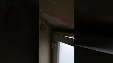 O que uma pessoa precisa para viver com dignidade?