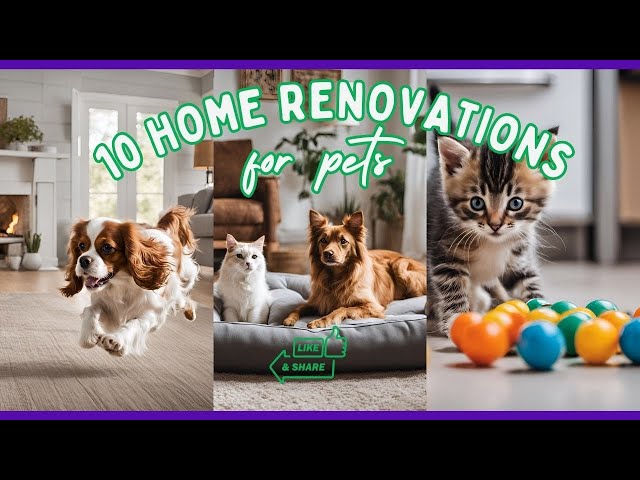The Best Strategy To Use For Pet Friendly Furniture & Flooring - Nfm thumbnail
