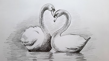 How to draw two swans by pencil | easy swan drawing with shades | pencil drawing