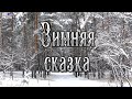 Красота зимнего леса. 12.2020. г. Павловск Воронежская область