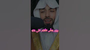 ويوم يَعَضُّ الظَّالِمُ عَلَى يَدَيْهِ #يارب_هون_هون #لطفك_يارب #تلاوة #تلاوة_خاشعة #صوت_جميل #آية