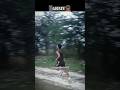 Thanks guys 75k complete ✅ Indian Army 🇮🇳💗.#इंडियनआर्मी #armylover #fojilove⚔️⚔️🖤🖤🇮🇳🇮🇳🇮🇳 #shorts