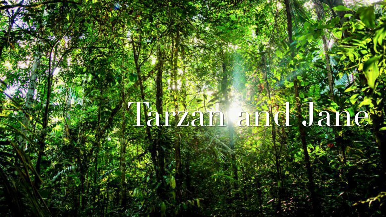 Tarzan & Jane-toy-box