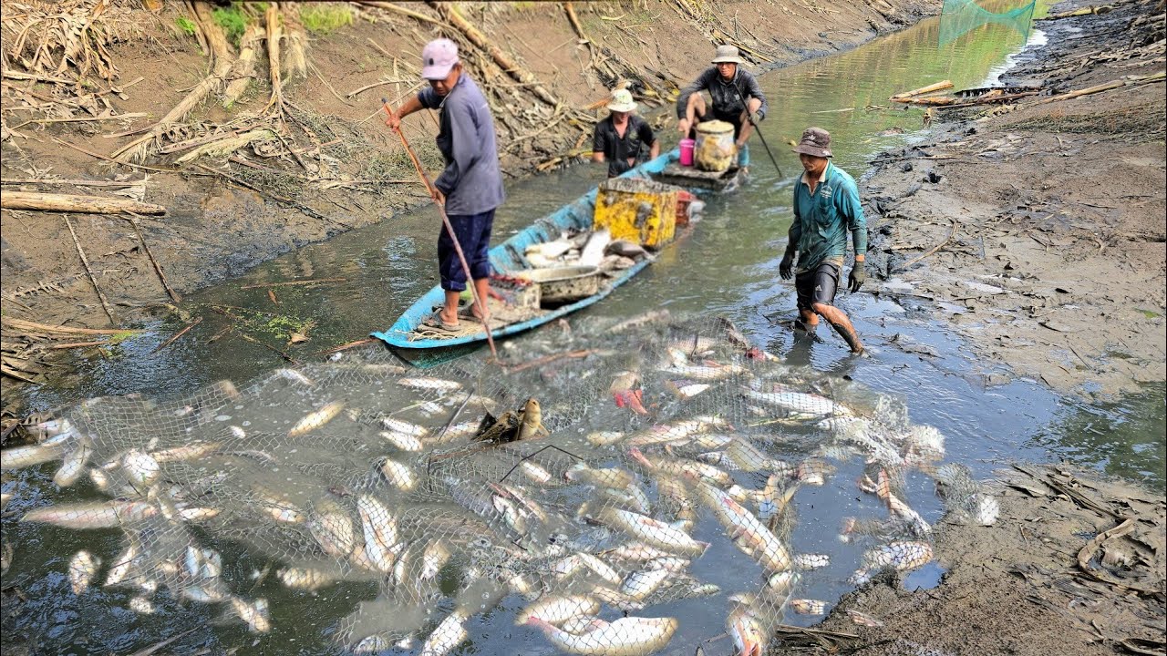 Xiệt Tôm CÀNG Cù Khúc Cuối Mương Chích 1 Cái Mấy Ký Tôm