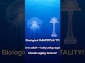 Jellyfish That Never Dies – Real?! 🌊