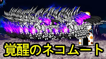 تحميل 覚醒ネコムート تحميل 覚醒ネコムート
