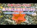 子育てSmile Cafe☕ 最大限に支援を受けてみる~特別支援学校中等部・兄弟児中学生の時~