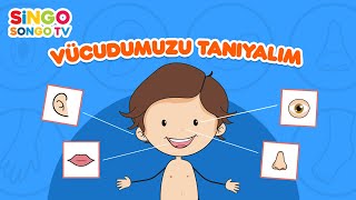 VÜCUDUMUZU TANIYALIM ✋👃👁 – SİNGOSONGO TV I ÇOCUK ŞARKILARI 🎶 Resimi