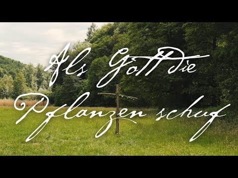 Video: Als Gott die Erde erschuf?